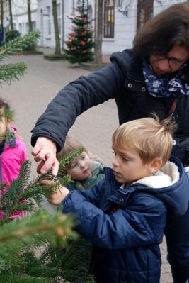 Foto des Albums: Weihnachtsbaum schmücken auf der Augustastraße