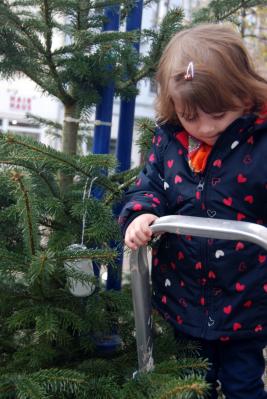 Foto des Albums: Weihnachtsbaum schmücken auf der Augustastraße