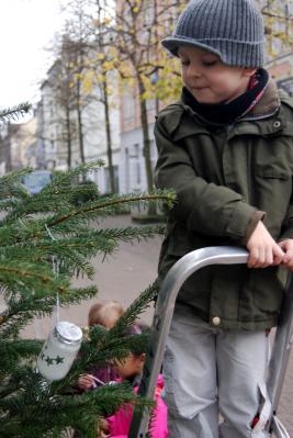 Foto des Albums: Weihnachtsbaum schmücken auf der Augustastraße