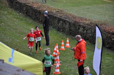 Foto des Albums: LM Cross Berlin 2016 (29.​11.​2016)