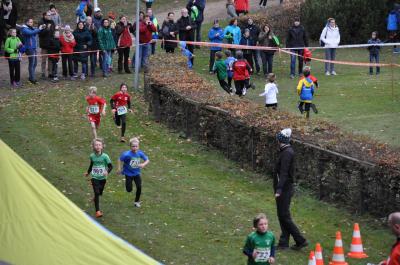 Foto des Albums: LM Cross Berlin 2016