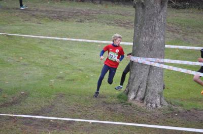 Foto des Albums: LM Cross Berlin 2016