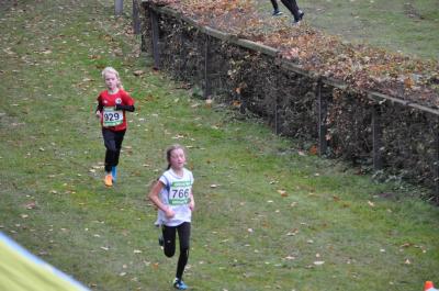 Foto des Albums: LM Cross Berlin 2016