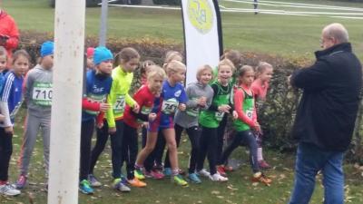 Foto des Albums: LM Cross Berlin 2016