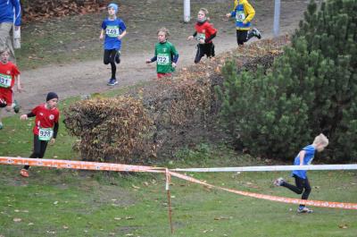 Foto des Albums: LM Cross Berlin 2016