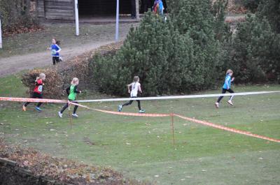 Foto des Albums: LM Cross Berlin 2016