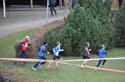Foto des Albums: LM Cross Berlin 2016