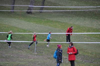 Foto des Albums: LM Cross Berlin 2016