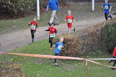 Foto des Albums: LM Cross Berlin 2016