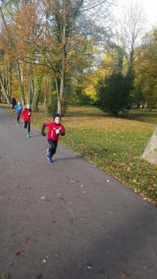 Foto des Albums: Anklam + Jatznick + Torgelow
