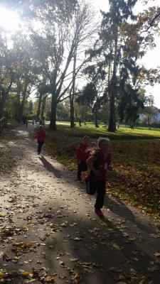 Foto des Albums: Anklam + Jatznick + Torgelow