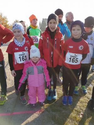 Foto des Albums: Anklam + Jatznick + Torgelow