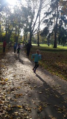 Foto des Albums: Anklam + Jatznick + Torgelow