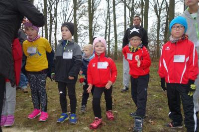 Foto des Albums: Anklam + Jatznick + Torgelow