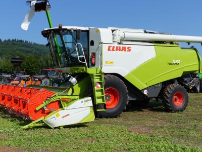 Foto des Albums: Feldtag 2015