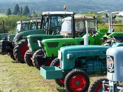 Foto des Albums: Feldtag 2015