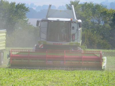 Foto des Albums: Feldtag 2015