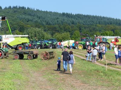 Foto des Albums: Feldtag 2015