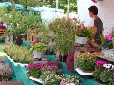 Foto des Albums: Herbst und Kräutermarkt 2016