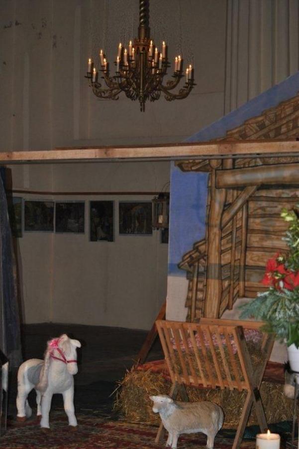 Bild der Galerie