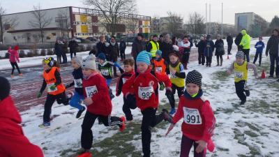 Foto des Albums: UDG - Crosslauf Schwedt