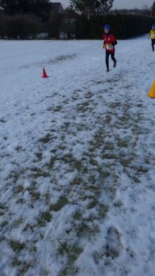 Foto des Albums: UDG - Crosslauf Schwedt