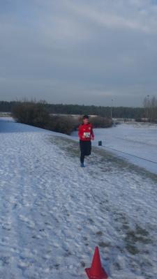 Foto des Albums: UDG - Crosslauf Schwedt