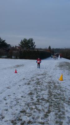 Foto des Albums: UDG - Crosslauf Schwedt