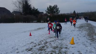 Foto des Albums: UDG - Crosslauf Schwedt