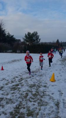 Foto des Albums: UDG - Crosslauf Schwedt