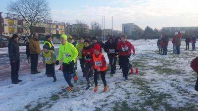 Foto des Albums: UDG - Crosslauf Schwedt