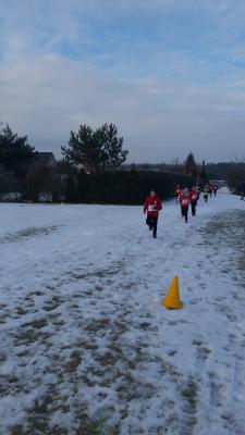 Foto des Albums: UDG - Crosslauf Schwedt
