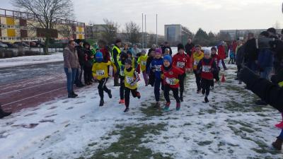 Foto des Albums: UDG - Crosslauf Schwedt