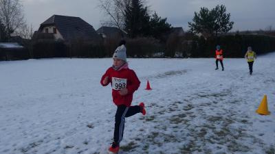Foto des Albums: UDG - Crosslauf Schwedt