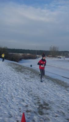 Foto des Albums: UDG - Crosslauf Schwedt