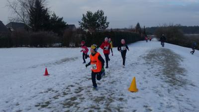 Foto des Albums: UDG - Crosslauf Schwedt