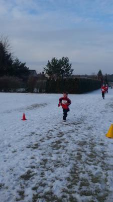 Foto des Albums: UDG - Crosslauf Schwedt