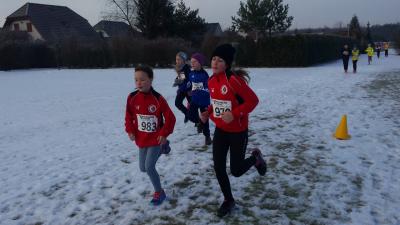 Foto des Albums: UDG - Crosslauf Schwedt