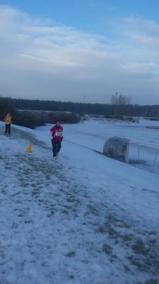 Foto des Albums: UDG - Crosslauf Schwedt
