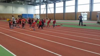 Foto des Albums: Sprint - Cup Potsdam