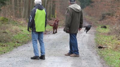 Foto des Albums: Wirtewanderung 2015