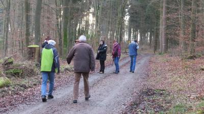 Foto des Albums: Wirtewanderung 2015