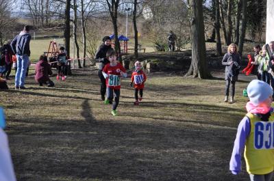 Foto des Albums: UDG - Crosslauf Jamikow