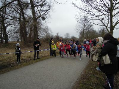 Foto des Albums: 3. UDG - Cup - Lauf Prenzlau