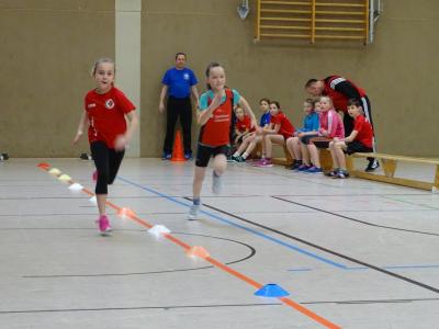 Foto des Albums: Regionale Meisterschaften Torgelow
