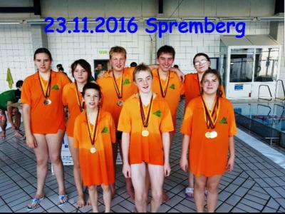 Foto des Albums: Unsere Schwimmer auf Erfolgskurs !