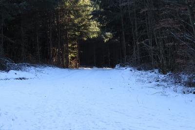 Foto des Albums: Wirtewanderung 2017