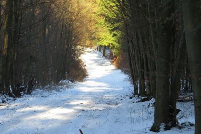 Foto des Albums: Wirtewanderung 2017