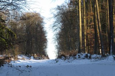 Foto des Albums: Wirtewanderung 2017