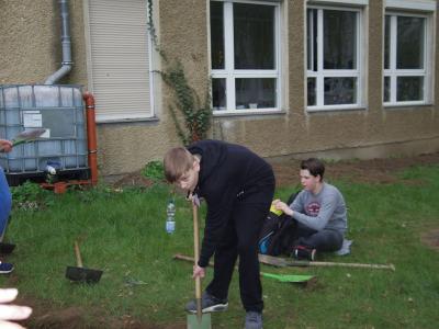 Foto des Albums: Projekt Klassen 7a und 7b (07. 04. 2017)